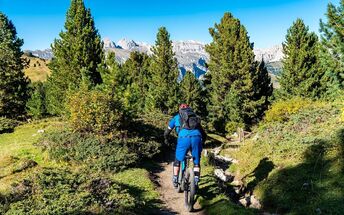 Mountain biking – zest for life and pure nature